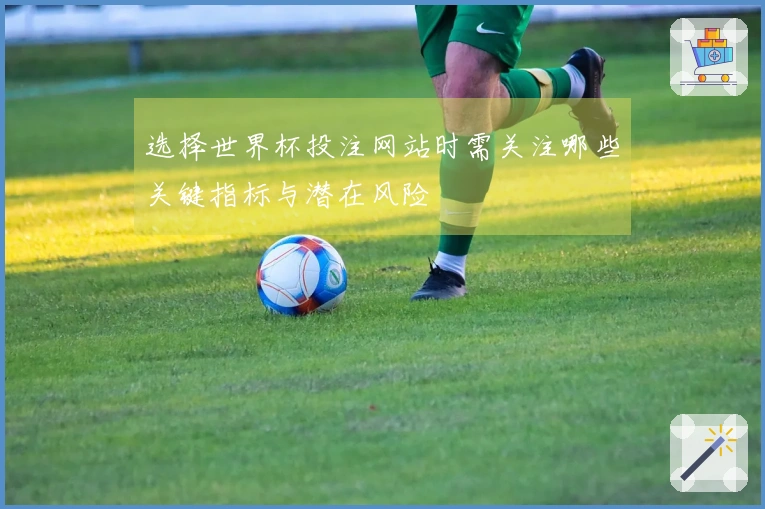 选择世界杯投注网站时需关注哪些关键指标与潜在风险