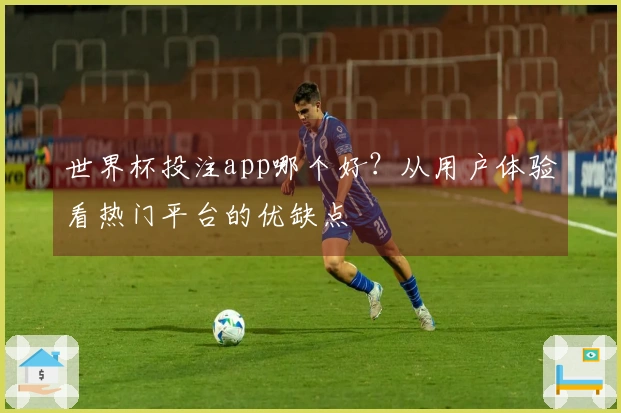 世界杯投注app哪个好？从用户体验看热门平台的优缺点