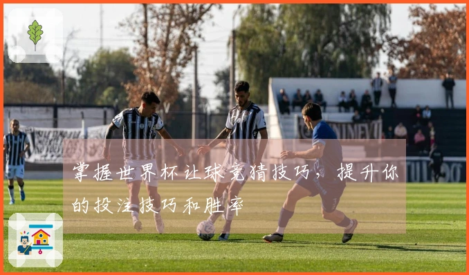 掌握世界杯让球竞猜技巧，提升你的投注技巧和胜率