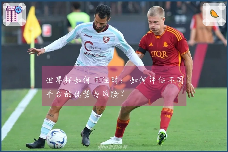 世界杯如何下注时，如何评估不同平台的优势与风险？