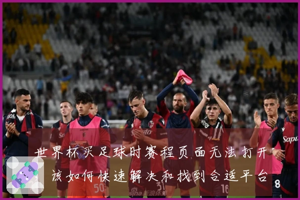 世界杯买足球时赛程页面无法打开，该如何快速解决和找到合适平台？