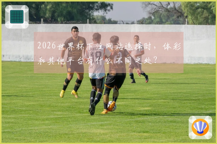 2026世界杯下注网站选择时，体彩和其他平台有什么不同之处？