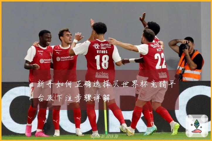 新手如何正确选择买世界杯竞猜平台及下注步骤详解