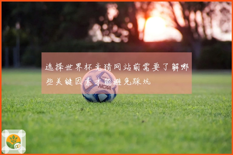 选择世界杯竞猜网站前需要了解哪些关键因素才能避免踩坑