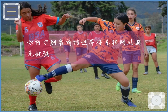 如何识别靠谱的世界杯竞猜网站避免被骗