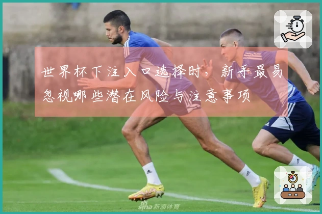 世界杯下注入口选择时，新手最易忽视哪些潜在风险与注意事项