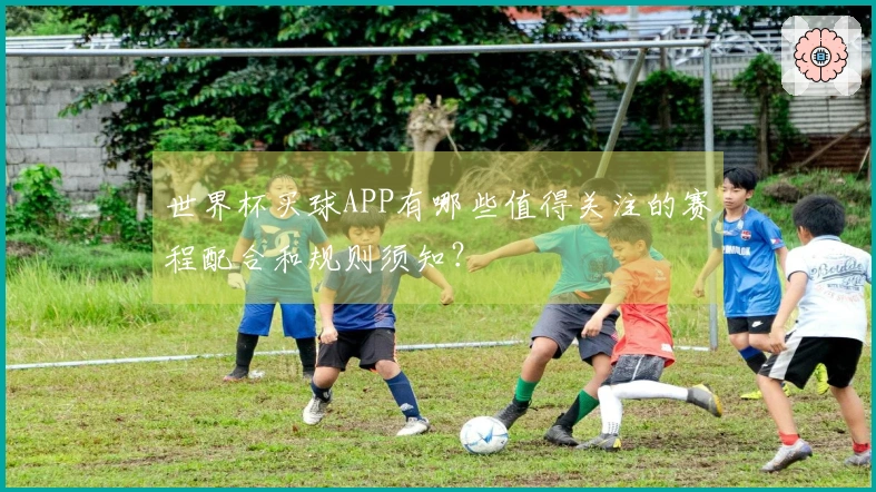 世界杯买球APP有哪些值得关注的赛程配合和规则须知？