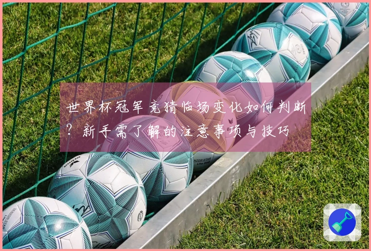 世界杯冠军竞猜临场变化如何判断？新手需了解的注意事项与技巧