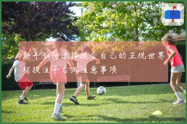 新手如何选择适合自己的正规世界杯投注平台及注意事项