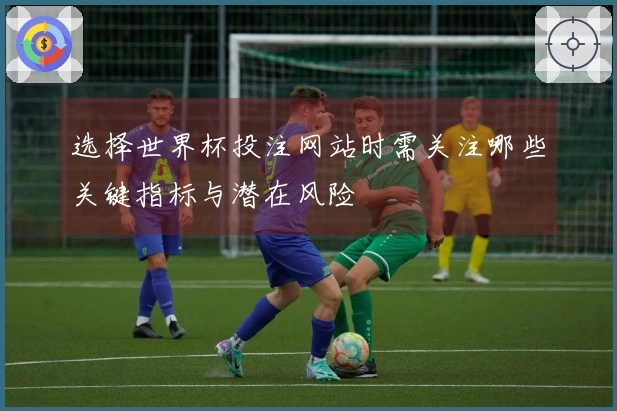 选择世界杯投注网站时需关注哪些关键指标与潜在风险
