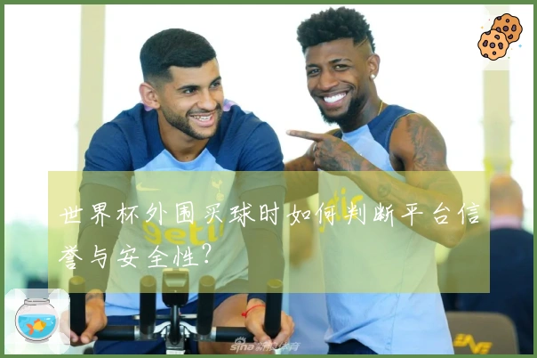 世界杯外围买球时如何判断平台信誉与安全性？