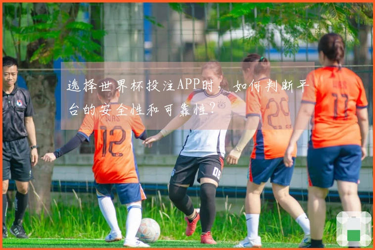 选择世界杯投注APP时，如何判断平台的安全性和可靠性？