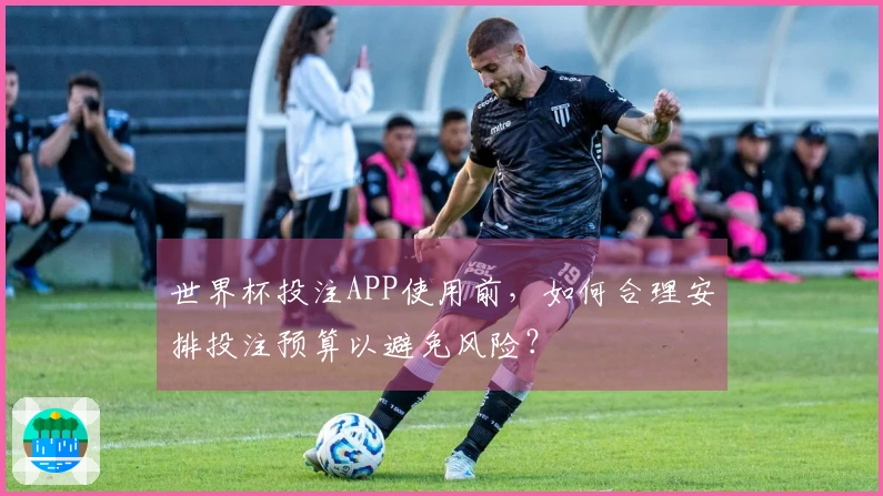 世界杯投注APP使用前，如何合理安排投注预算以避免风险？