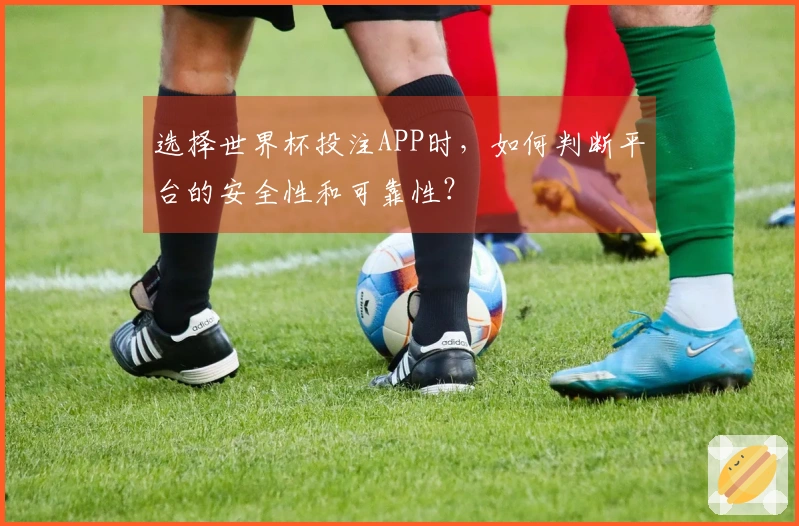 选择世界杯投注APP时，如何判断平台的安全性和可靠性？