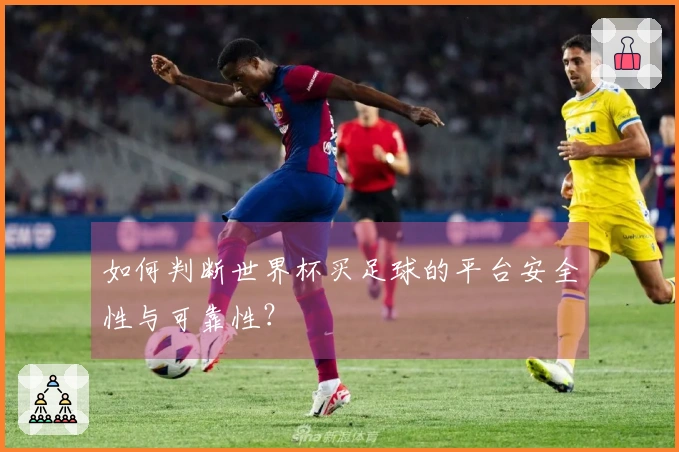 如何判断世界杯买足球的平台安全性与可靠性？