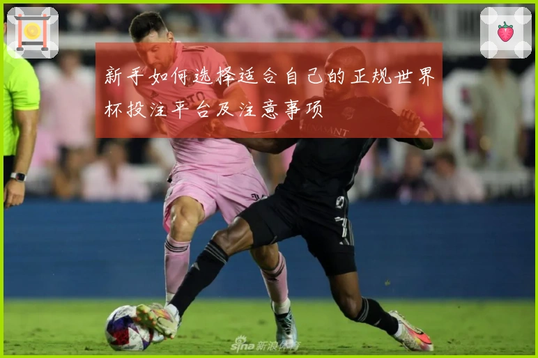 新手如何选择适合自己的正规世界杯投注平台及注意事项