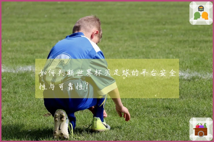 如何判断世界杯买足球的平台安全性与可靠性？