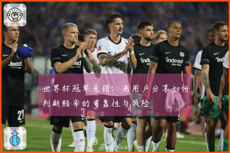 世界杯冠军竞猜：老用户分享如何判断赔率的可靠性与风险