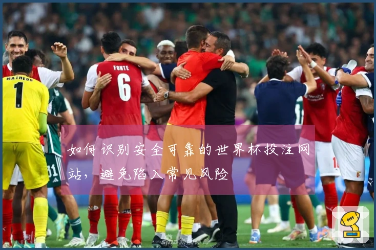 如何识别安全可靠的世界杯投注网站，避免陷入常见风险
