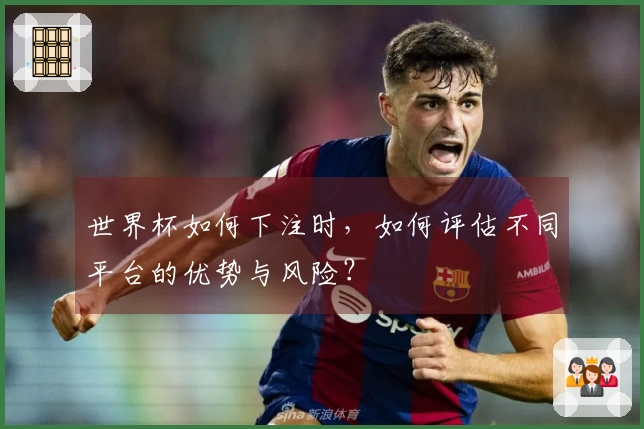 世界杯如何下注时，如何评估不同平台的优势与风险？