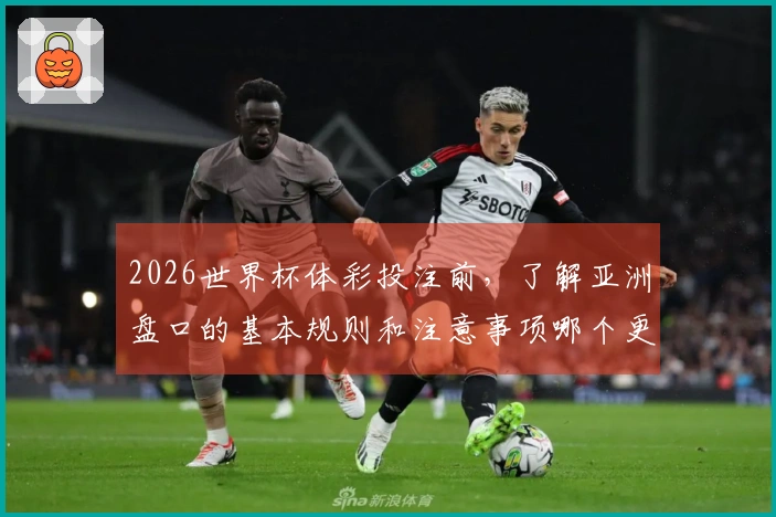 2026世界杯体彩投注前，了解亚洲盘口的基本规则和注意事项哪个更重要？