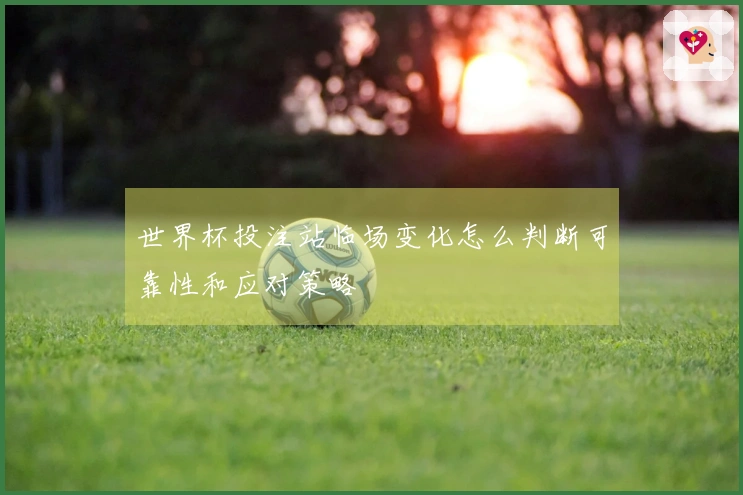 世界杯投注站临场变化怎么判断可靠性和应对策略