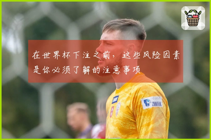 在世界杯下注之前，这些风险因素是你必须了解的注意事项