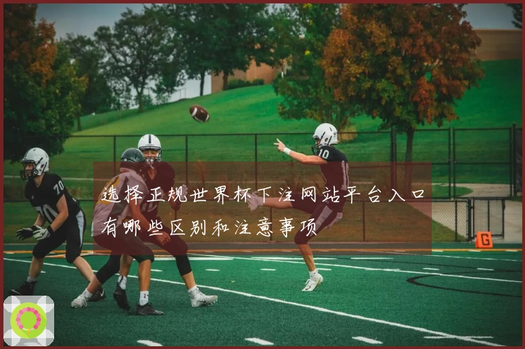 选择正规世界杯下注网站平台入口有哪些区别和注意事项