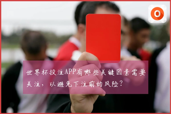 世界杯投注APP有哪些关键因素需要关注，以避免下注前的风险？