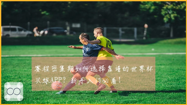 赛程密集期如何选择靠谱的世界杯买球APP？新手入门必看！