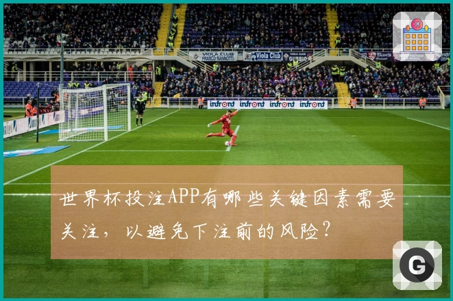 世界杯投注APP有哪些关键因素需要关注，以避免下注前的风险？