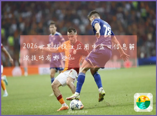 2026世界杯投注应用中盘口信息解读技巧有哪些？