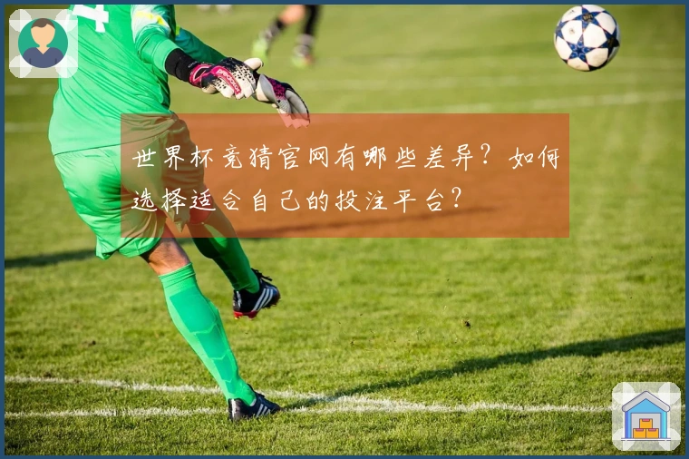 世界杯竞猜官网有哪些差异？如何选择适合自己的投注平台？