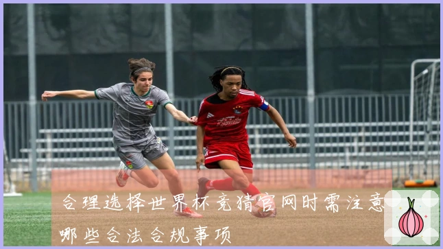 合理选择世界杯竞猜官网时需注意哪些合法合规事项